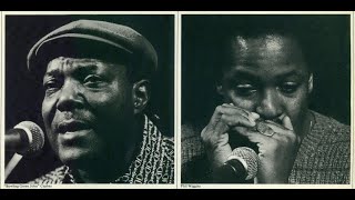 "Bowling Green John" Cephas & "Harmonica Phil" Wiggins - Worried Man Blues (AFBF '82)