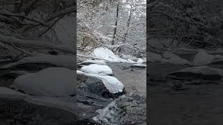 Flowing Water in Stream in Winter | True Nature |