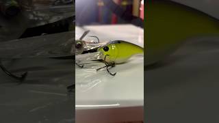 The KEY To Fall Crankbait Fishing!