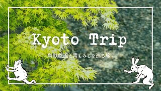 【京都vlog】青もみじの川床ランチ＆鳥獣戯画を巡る旅｜Lunch over the rivers at Kawadoko in Kyoto