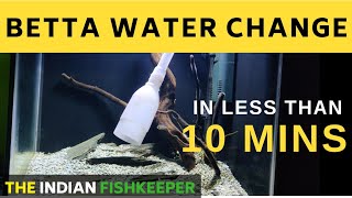 Quick Betta Tank Water Change In 10 Mins