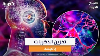 علماء يكتشفون أن بعض الذكريات لا تعيش في أدمغتنا بل في جسمنا