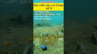 Bài mồi câu cá Chép tự nhiên số 9  #shots #caucagiaitri #recreationalfishing