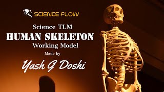 Science TLM | Human Skeleton | MADE BY YASH G DOSHI | TOY FAIR |SCIENCE FAIR| B.Ed-M.Ed TLM