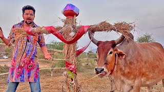 वसुधा गैग्राम में सूर्पणखा ने मचाया आतंक😱😨😱#baawalechorevlogs #surphnakha #dasehra #cowvlog