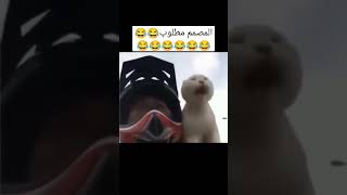 المصمم مطلوب حيي 😂 اشترك بالقناة #tiktok #funny #shorts