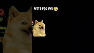 wait for end🤣🤣🤣 #new#funny#vedio#see#and#enjoy#and subscribe#my#youtube#chanel#R_Dmemes67