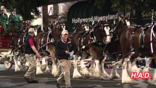 Holllywood Christmas Parade 2015 - Desfile Navideno de Hollywood