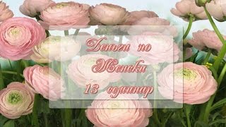 Чек изобилия. Активируем денежную энергию рода