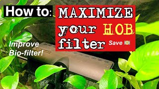 How to : 💪Maximize 💪your HOB filter🌿🐟