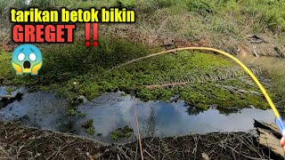 berharap ini tarikan ikan betok MONSTER || mancing ikan betok