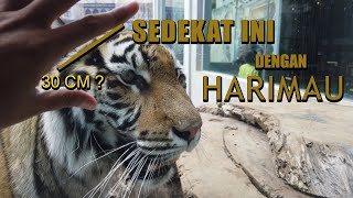 Wisata Keluarga Menyenangkan di Lembang Park & Zoo | Kebun Binatang Asyik, Bersih, dan Modern