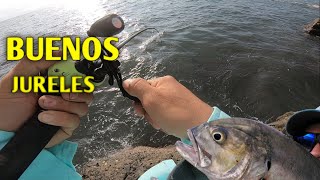 PESCA DE JURELES EN BARRANCA PUNTARENAS.