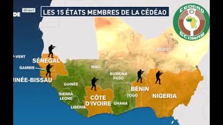 NIGER : LE CHÈQUE SANS PROVISION DE LA CÉDÉAO - ENTREVUE EXCLUSIVE AVEC LE COLONEL ADJE (1)