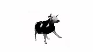 Vaca bailando meme