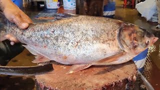 Amazing Big Bighead Fish Cutting By Expert Fish Cutter | Amazing Fish Cutting Skills