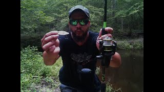 CREEK FISHING THE RAPTOR GLIDE BAIT FROM MAXED FISHING! (THIS BAIT IS AWESOME)