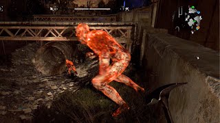 Have You Ever Chased a Volatile at Dawn In Dying Light?