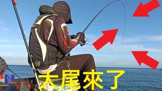 【北海岸海釣】北海岸富基漁港 巴掌臭肚、鸚哥魚大咬釣況上集2022/11/19(Fuji Fishing Port of Taiwan’s Northern Coast)#北海岸釣魚#富基漁港#大臭肚