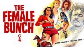 The Female Bunch 1971  Full Movie