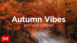 Autumn Vibes Mix 2024 🍂 24/7 Live Stream 🎃 Chill Fall Music to Calm Down by We Are Diamond