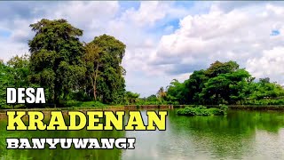 Kradenan - Banyuwangi || Desa Dg Panorama Rawa Yg Indah