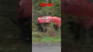 Rally Crash - Shelby AC Cobra #rally #crash #rallycrash #rallye #rallyecrash #accobra #shelby