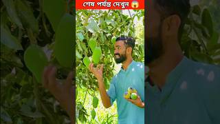 জাদুর আম বাগান || #shorts