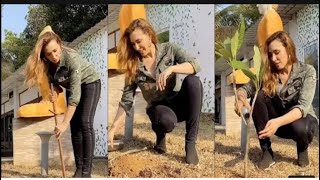 Lulia vantur Tree planting at Salman khans Panvel Farmhouse |