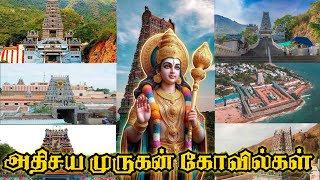 Famous Murugan Temple in Tamilnadu | சக்தி வாய்ந்த தமிழ் நாட்டின் முருகன் கோவில்கள்