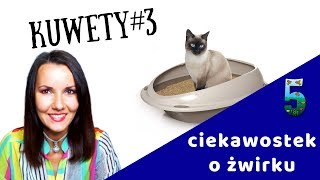 KUWETologia odc. 3 / 5 ciekawostek o żwirku dla kota