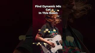 Dynamic Mic Cat Finding Challenge