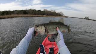 Fly Fishing at Decker Lake