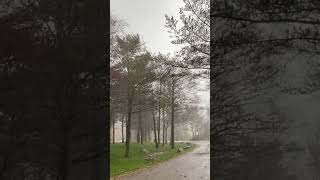 #rainsounds on the #westcoast of #norway #october 22’ #2024 its #rain everywere