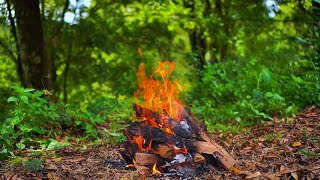 🔥 Cozy Forest Campfire 4K ULTRA HD! - Natural Ambiance, Crackling Fire, Bird Sounds