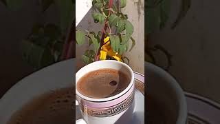 Coffee Time: A Video Experience