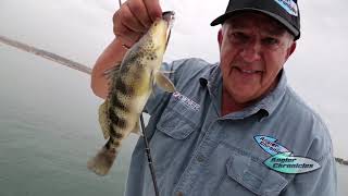 Angler Chronicles Tips: Fishing Mission Bay #1