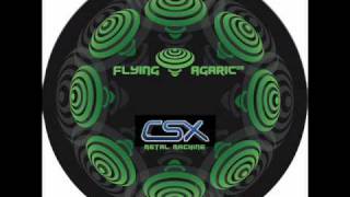 FLYING AGARIC 03 - CsX -Metal Machinel