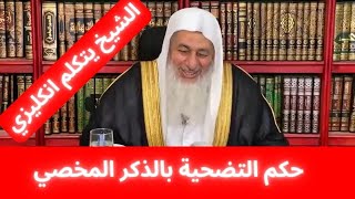 الشيخ يقول للمتصل silence || فضيلة الشيخ مصطفى العدوي