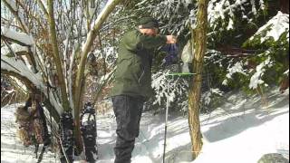 Out For A Snowshoe Stroll !.mp4