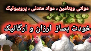 آموزش درست کردن مولتی ویتامین و مواد معدنی و پروبیوتیک ارزان و ارگانیک