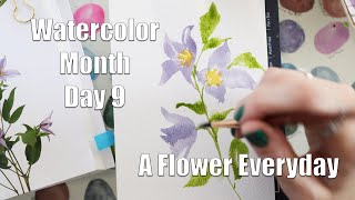 Day 9 of Watercolor Month - A flower everyday from the Flower Color Guide - Clematis