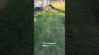 No Water No Grass - Reno Update #lawn