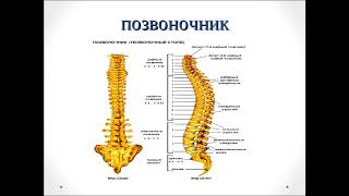 Продукция для здоровья кооператива E-SPRAVA