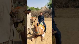 Camel ride #shorts