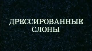 "Дрессированные слоны" / Дрессировщик Сарват Бегбуди (1979) HQ