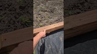 Watch this BEFORE You BUILD a Retaining Wall!