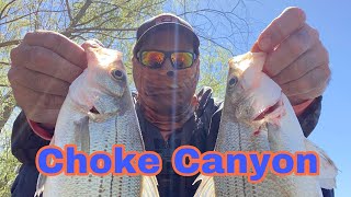 Choke Canyon fishing!