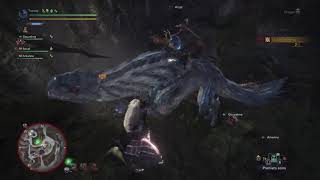 MONSTER HUNTER WORLD CHASSE AUX MONSTRES EN COUPLE ! By Le Cochon Gamer and Nephilie FR