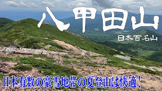 【青森県 八甲田山】木道歩きを楽しめる快適登山✨